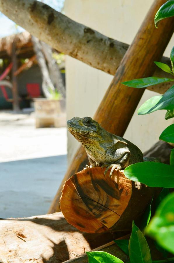 Skycamp Camping Holbox Zewnętrze zdjęcie